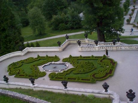 view from above the garden